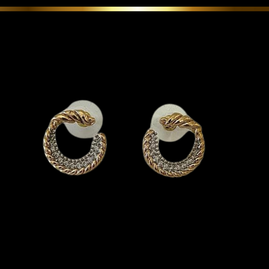 Aretes Catalina